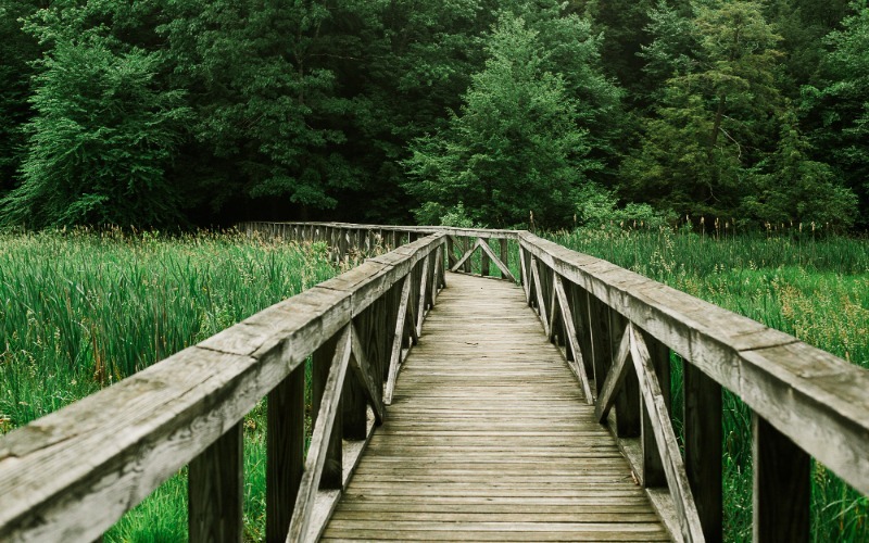 4 Parks, Trails and Green Spaces to Explore for Natural Adventures