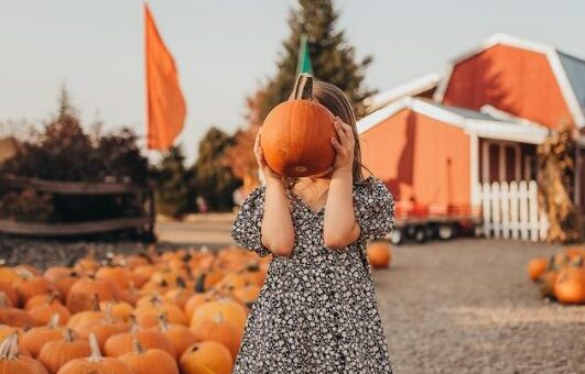 Girl with pumpkin at Port Farms