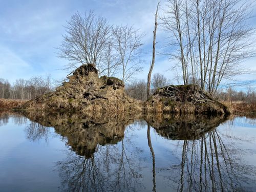 River bank