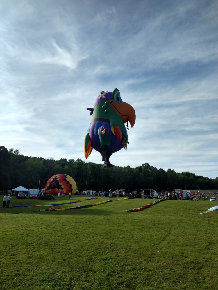 Bird Hot Air Balloon