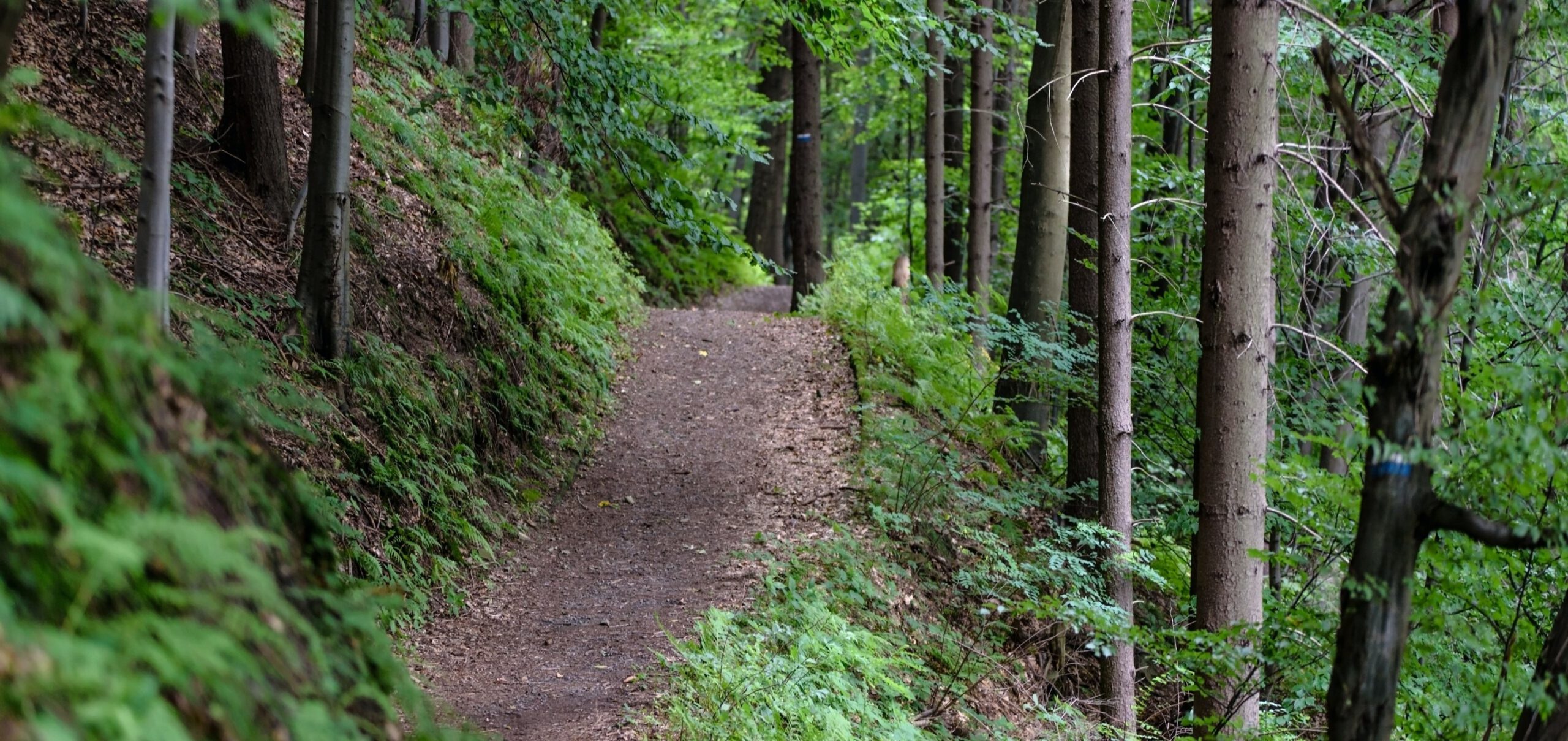Must-See Hiking and Walking Trails in Crawford County