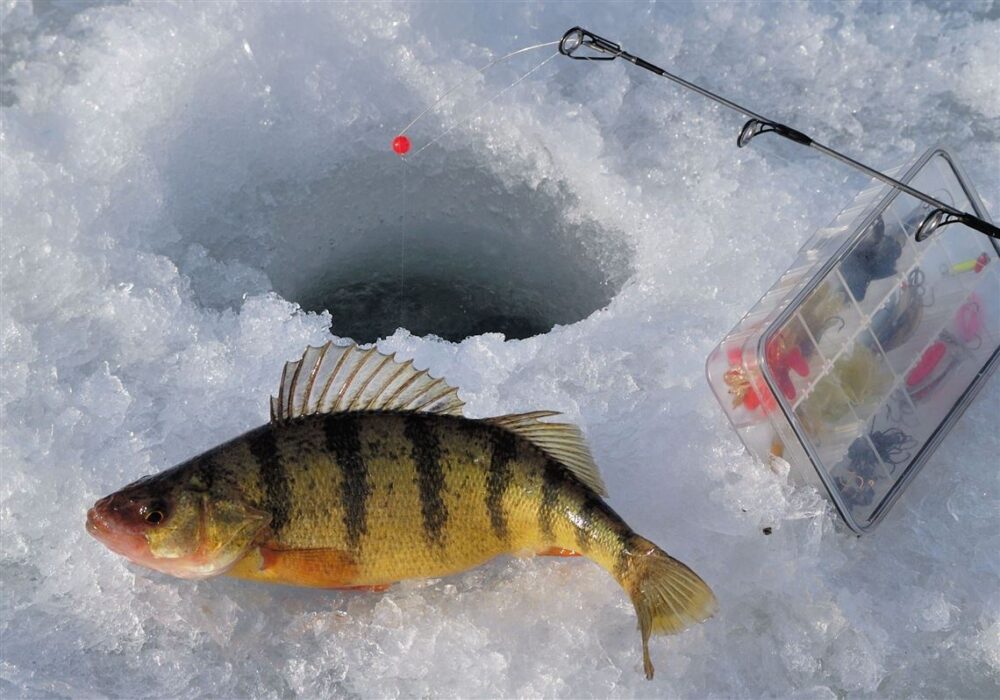 Ice/Dock Fishing  Visit Crawford County, PA