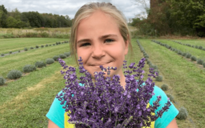 Fairlamb lavender farm girl picking lavender