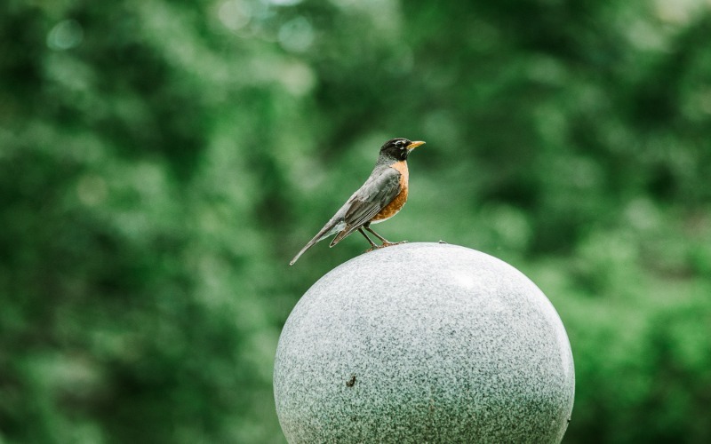 Top Birding, Wildlife and Nature Photography Hidden Gems in Crawford County, PA