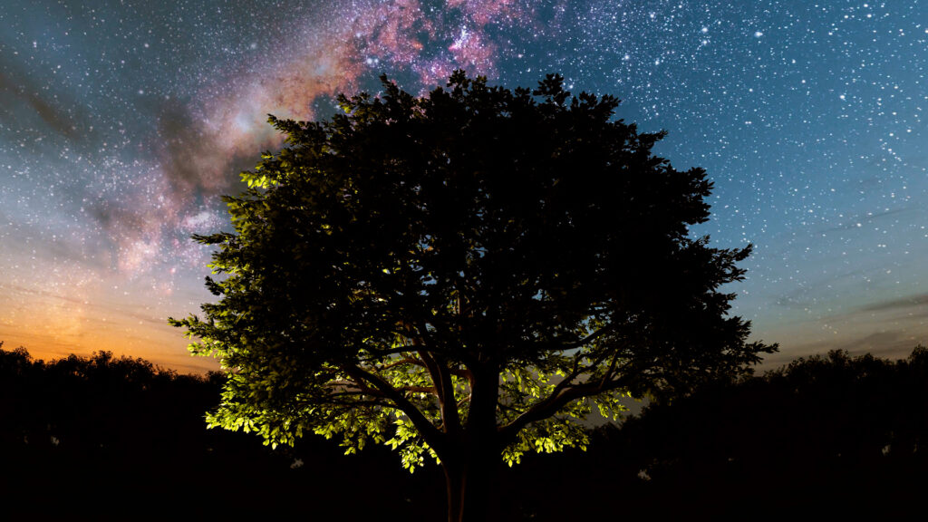 Witness Nature's Greatest Views: Stargazing in Crawford County | Visit  Crawford County, PA