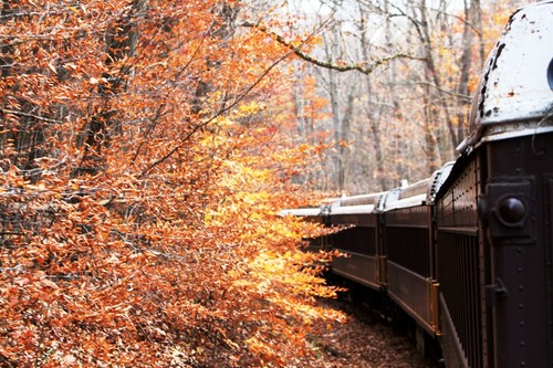 Fall Foliage Train ride on the Oil Creek & Titusville Railroad