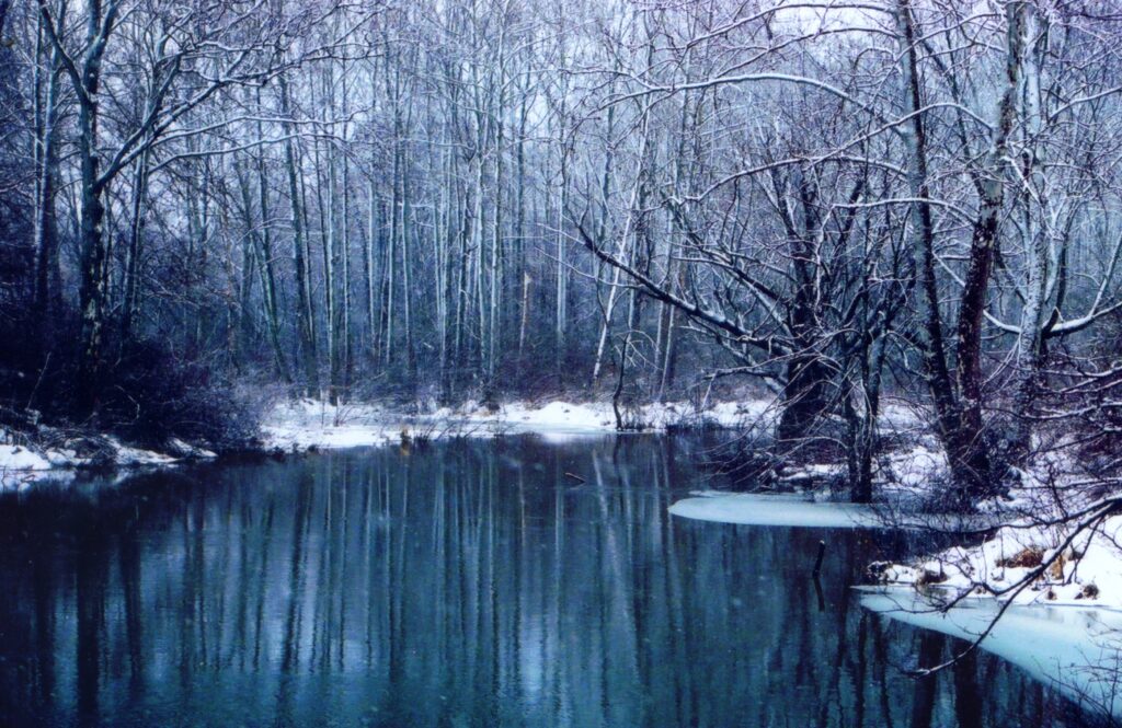 French Creek During Winter