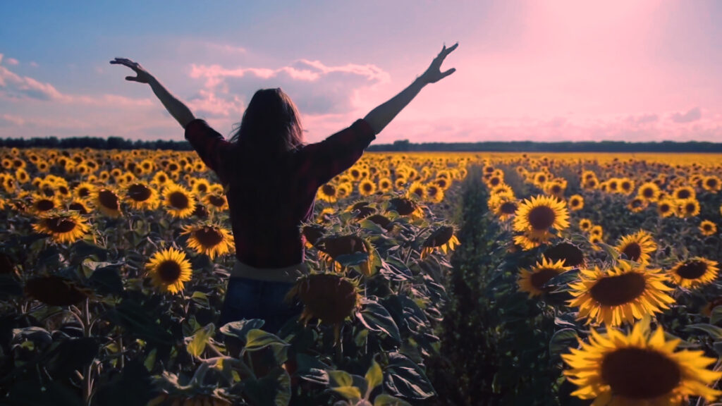 Girl with Arms up in a field of Sunflowers on a sunny day.