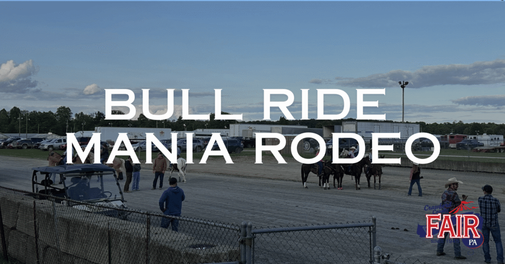 Bull Ride Mania Rodeo