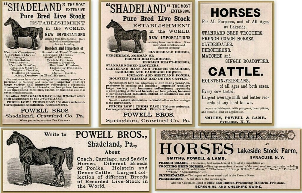Shadeland Horse Ad
