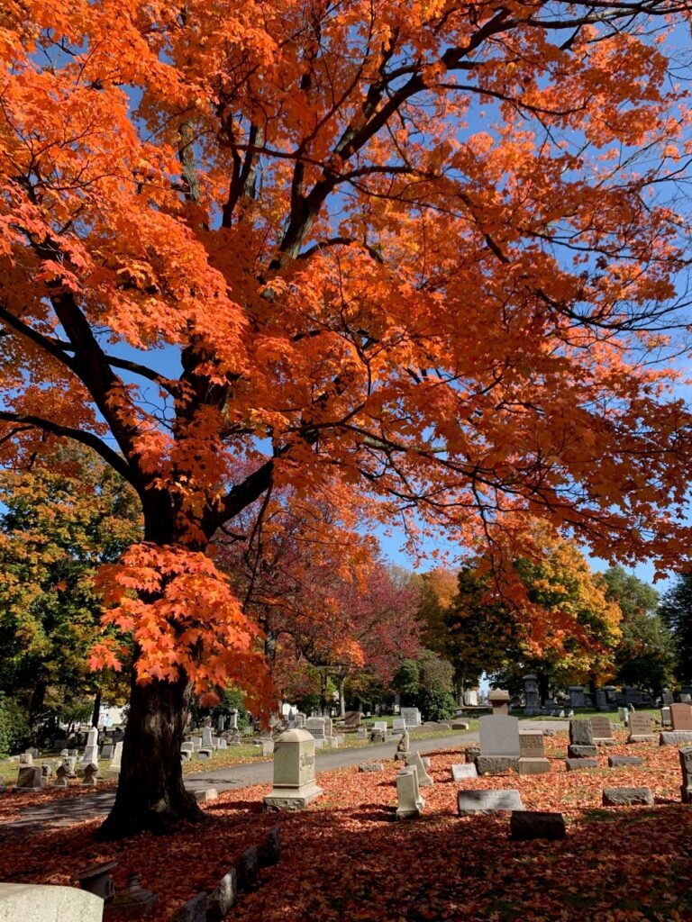 Fall at the Erie Cemetery - Erie County 