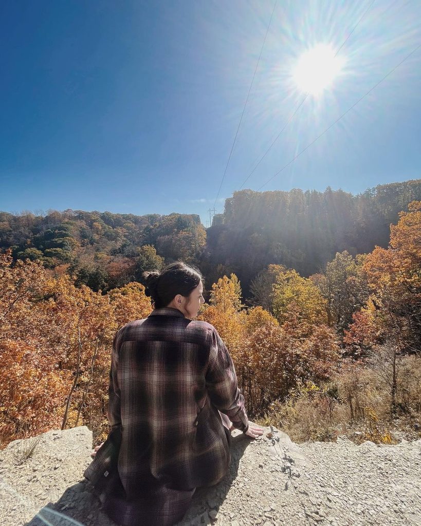 Fall at Wintergreen Gorge in Erie County