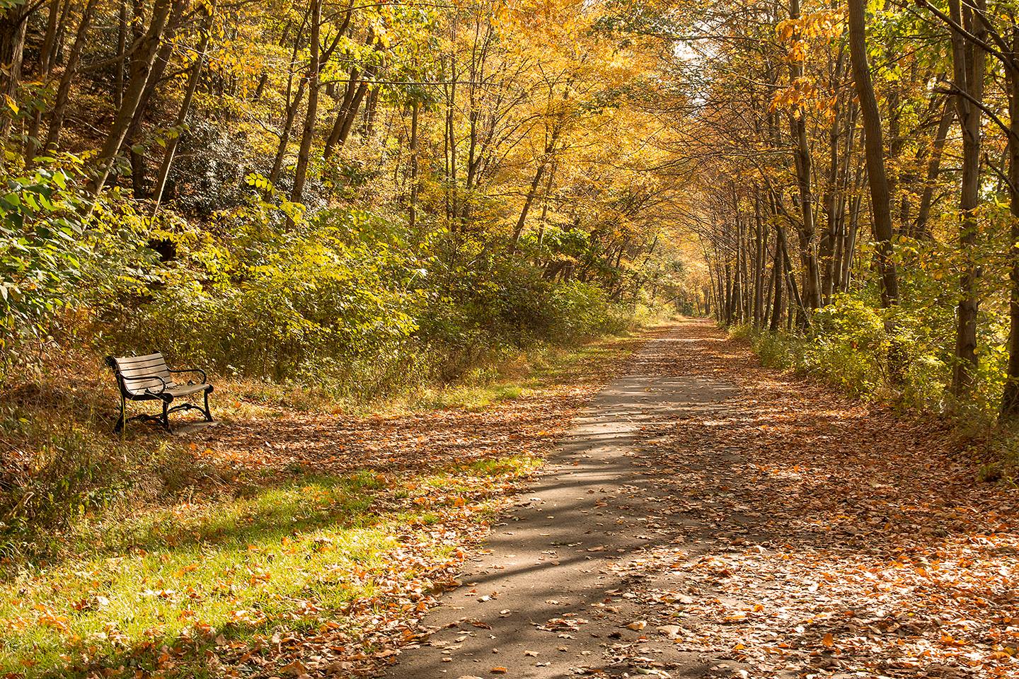 Fall Road Trips in Northwest Pennsylvania: Explore Four Counties in One Adventure